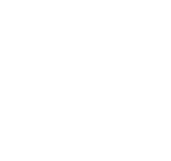 Longan's Place logo